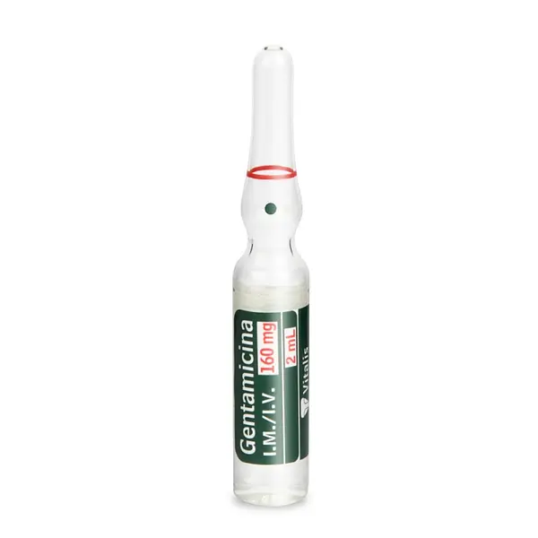 Gentamicina 160 mg/2 ml 10 ampollas VT