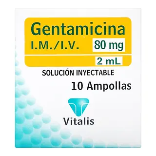 Gentamicina 80 mg/2 ml 10 ampollas VT