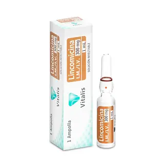 Lincomicina 300 mg/1 ml 1 ampolla VT
