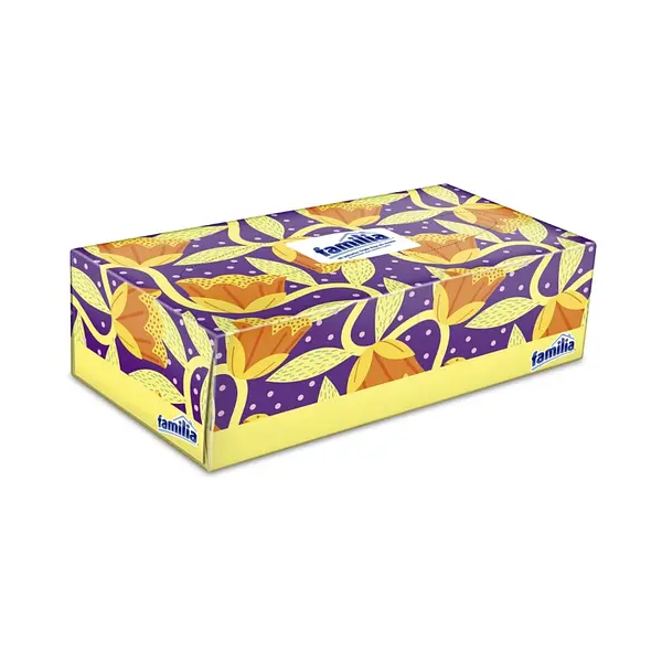 Pañuelos Familia Caja Grande 80 unidades